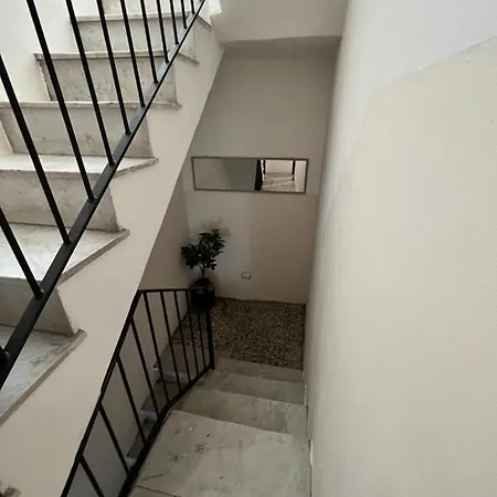 Zinbi's House