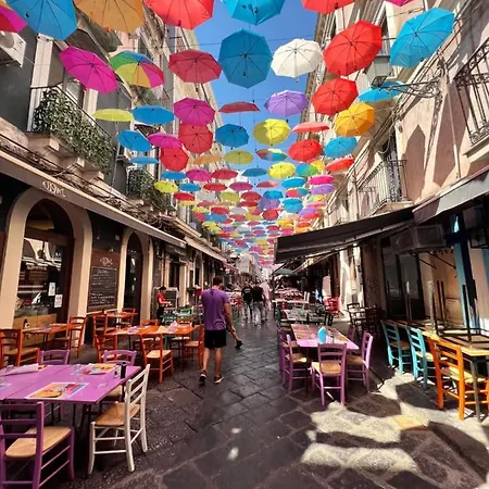 Zinbi's House كاتانيا